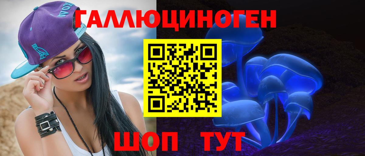 Псилоцибиновые грибы Psilocybe Тула